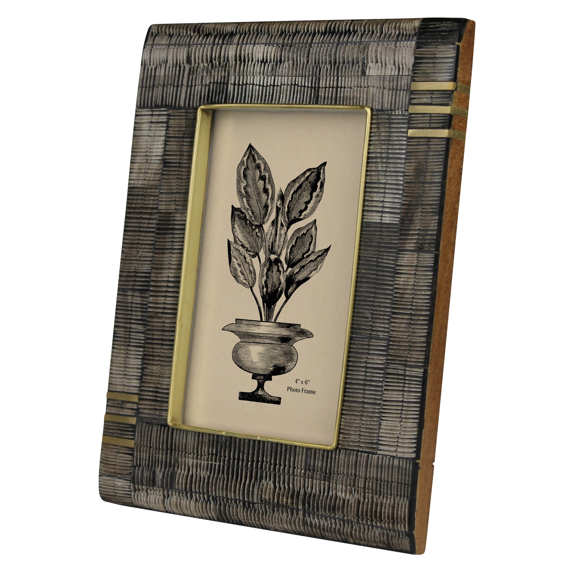 Acacia, Chiseled Horn & Brass Frame - 4x6