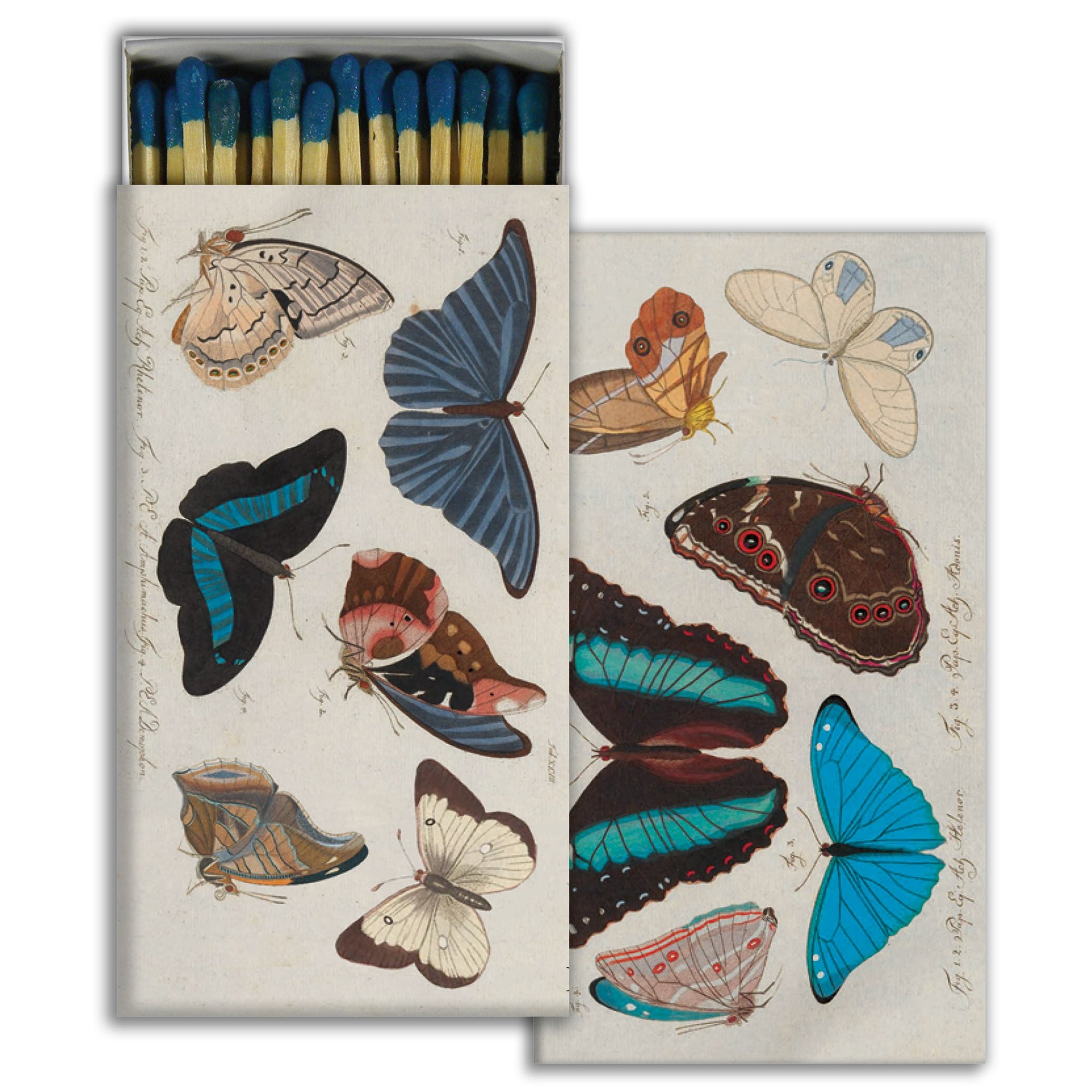 Matches - Blue Butterflies
