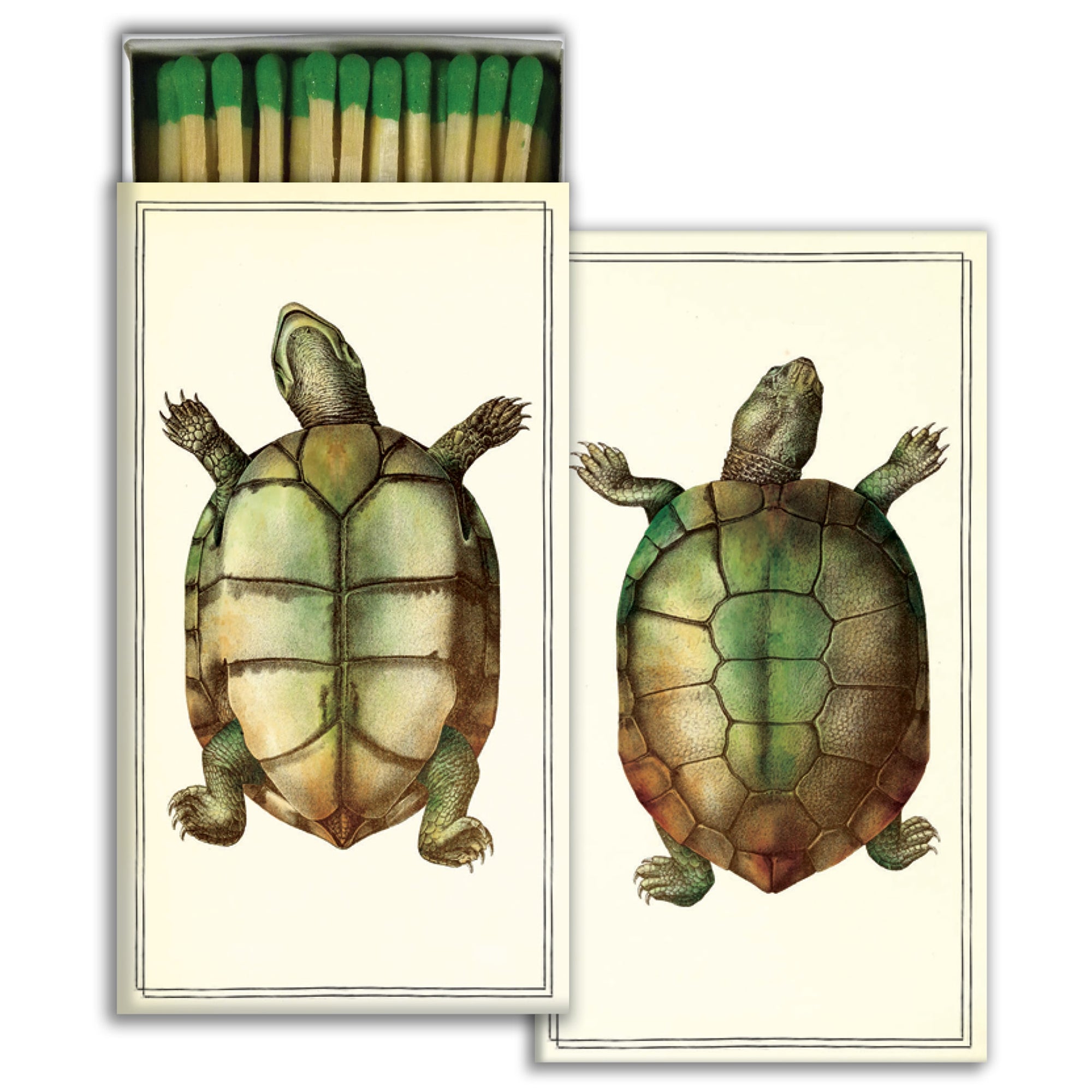 Matches - Turtles