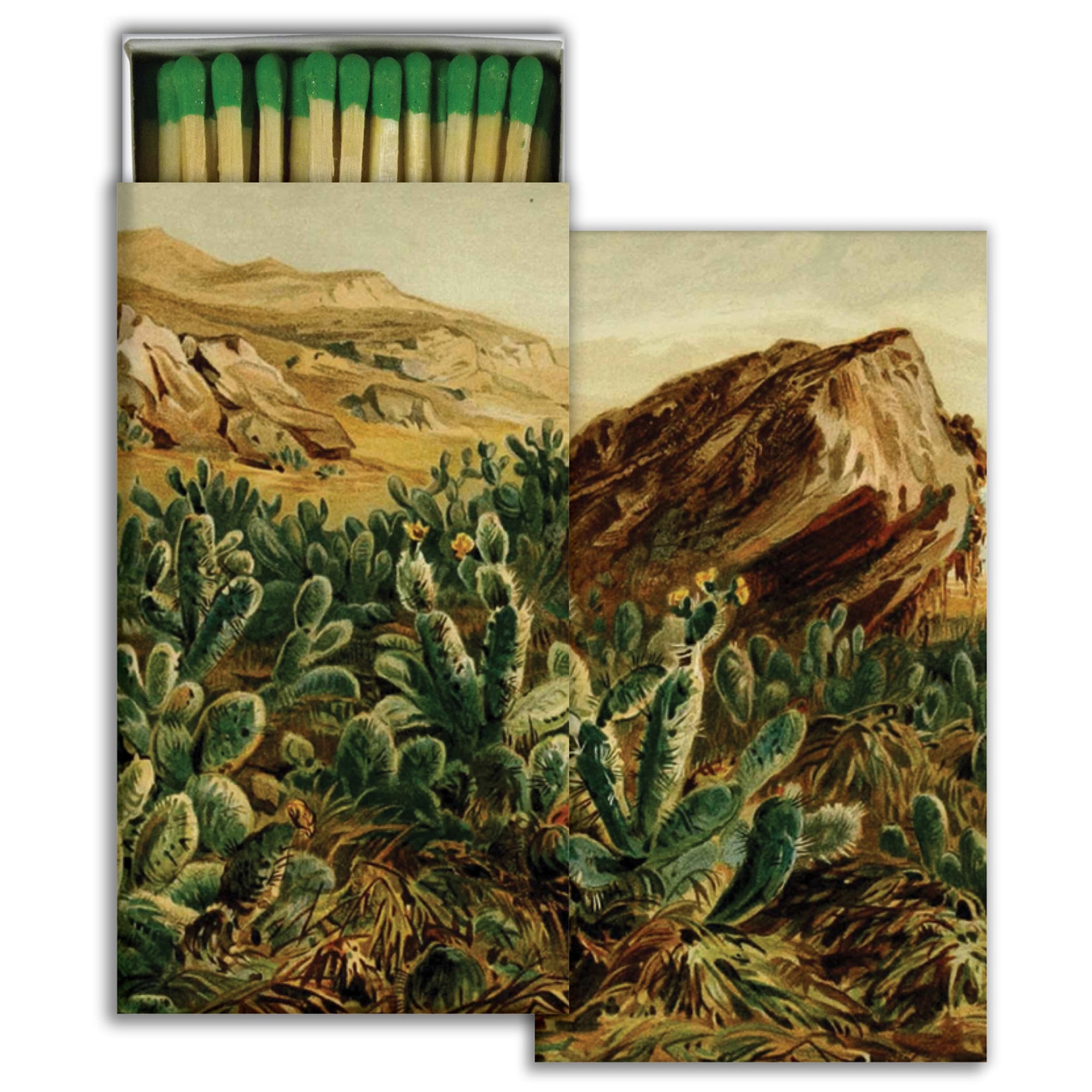 Matches - Prickly Pear Cactus