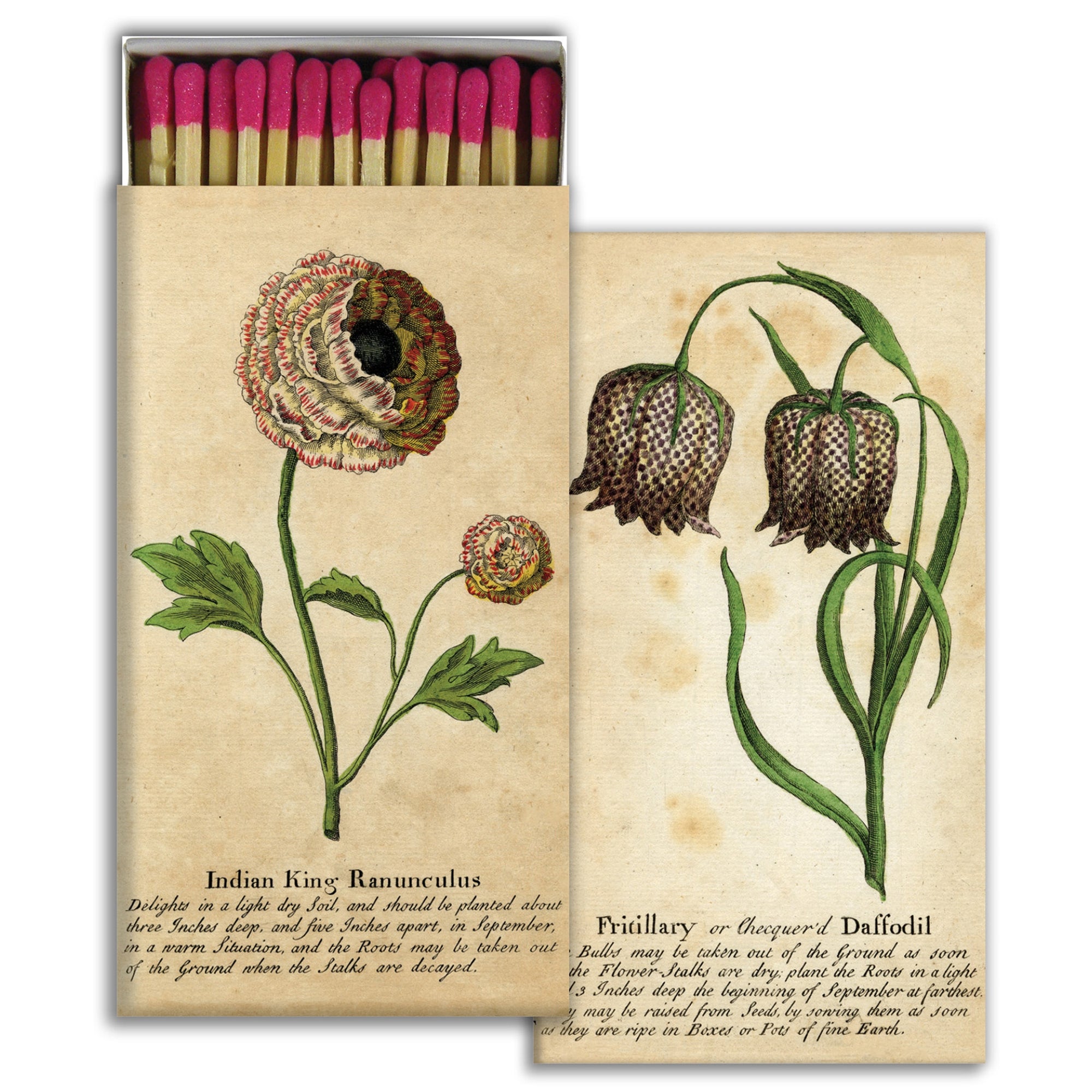 Matches - Ranunculus & Daffodill