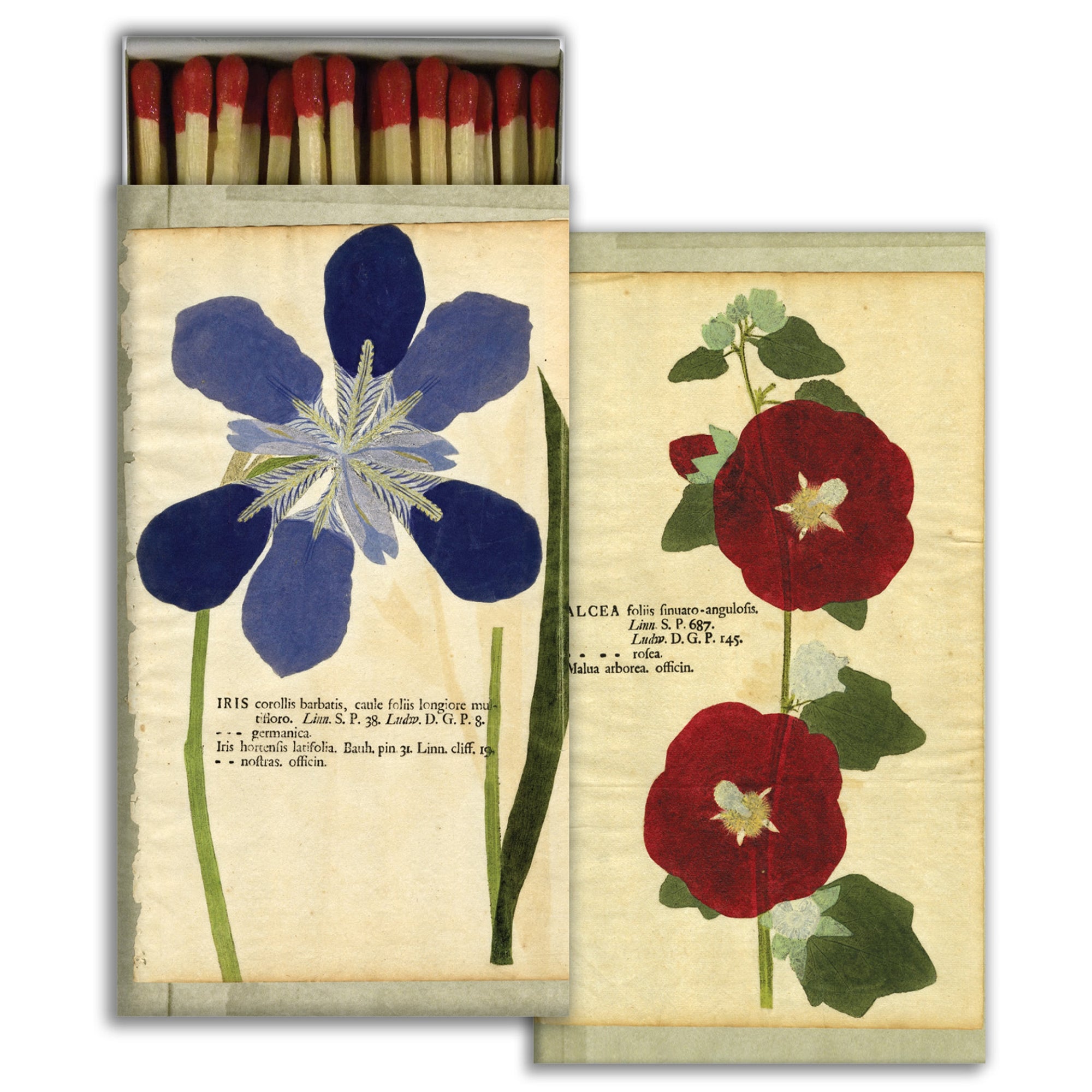 Matches - Iris & Hollyhock