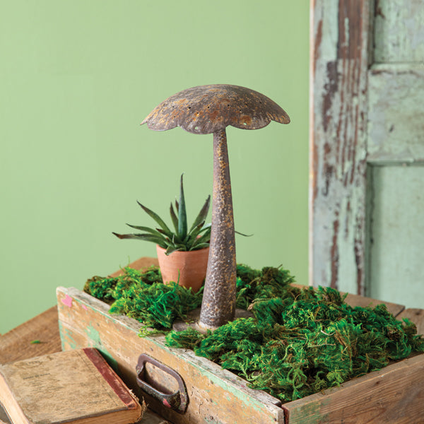 Large Rusty Woodland Mushroom