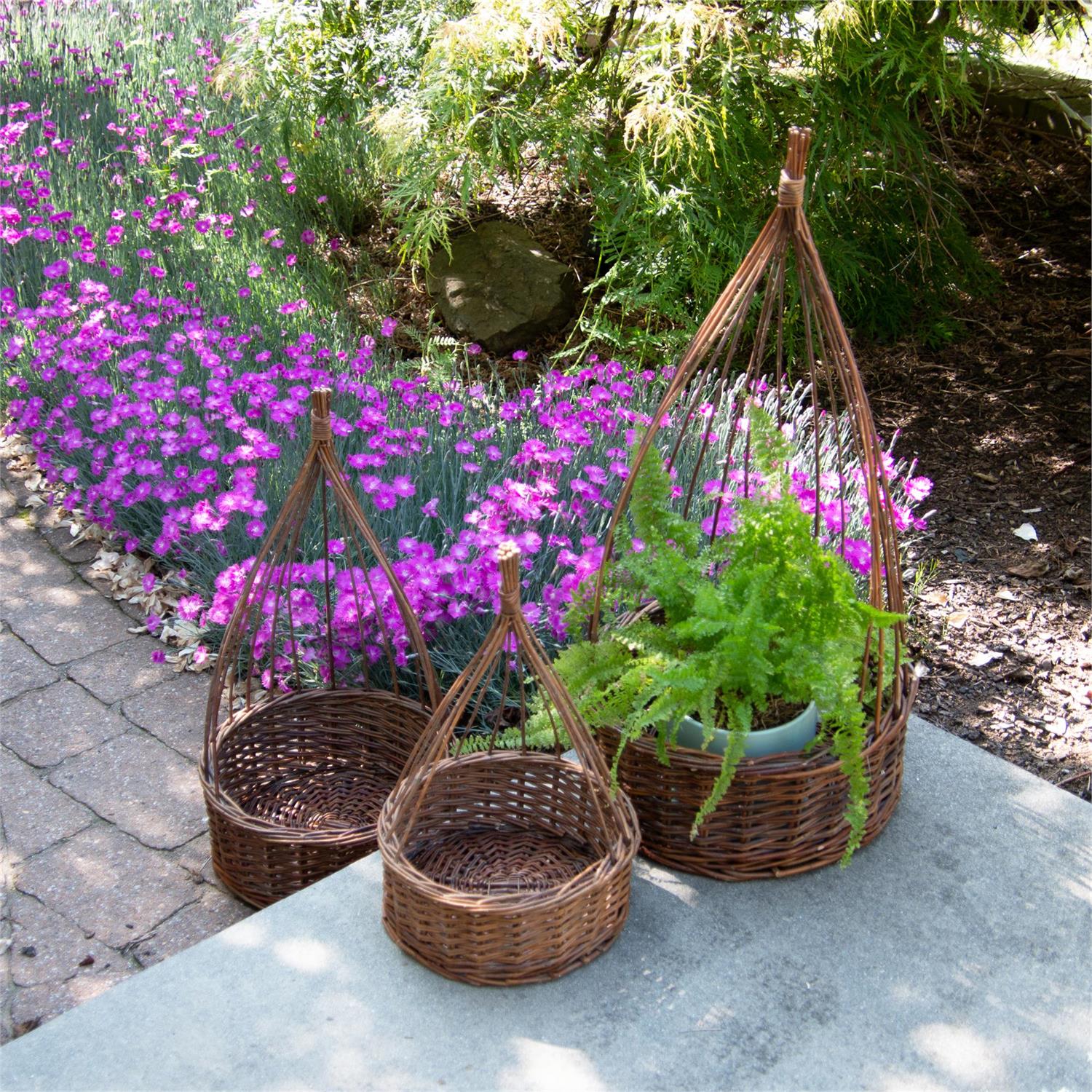 Willow Obelisk Planters
