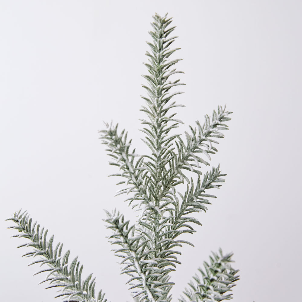 Fir Tree in Decorative Galvanized Planter