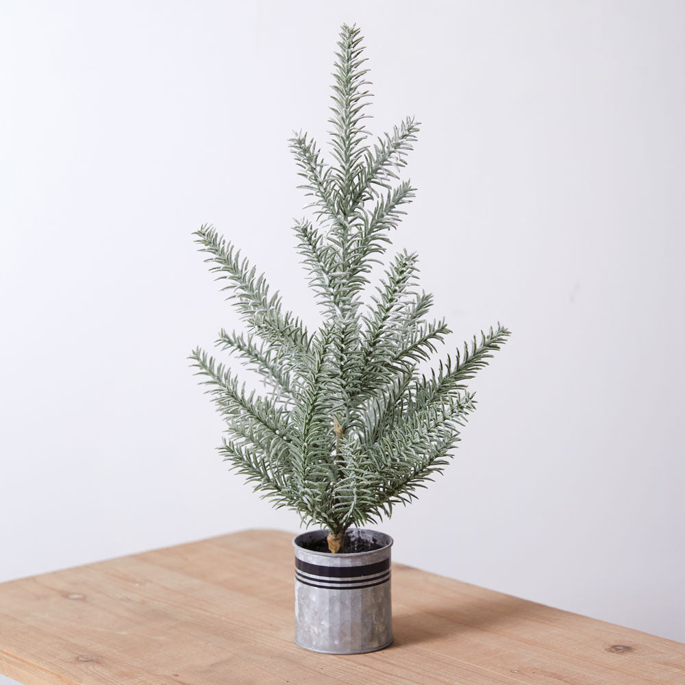 Fir Tree in Decorative Galvanized Planter