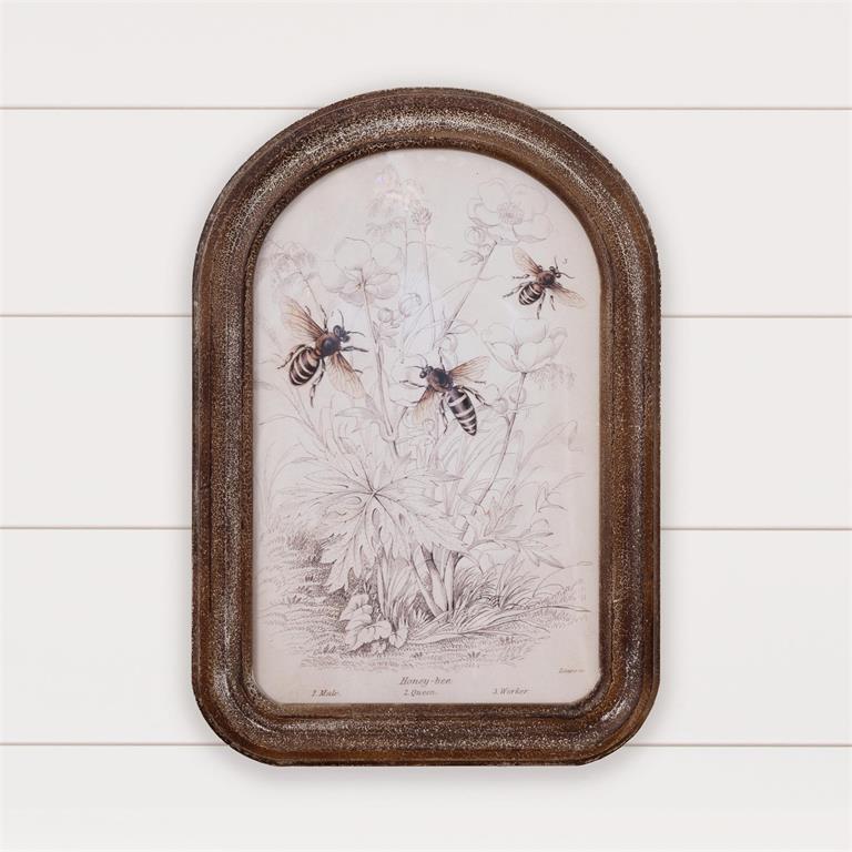 Framed Print - Bee