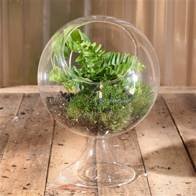 Round Sphere Terrarium (Sm)