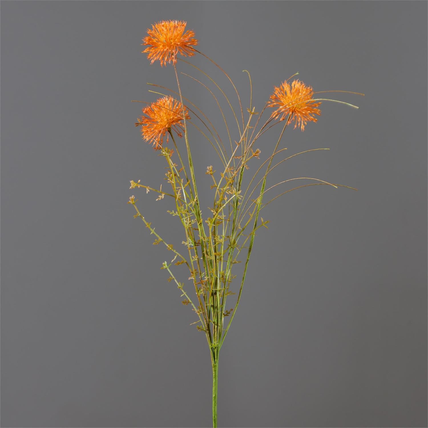 Branch - Rust Allium (Pk 2)
