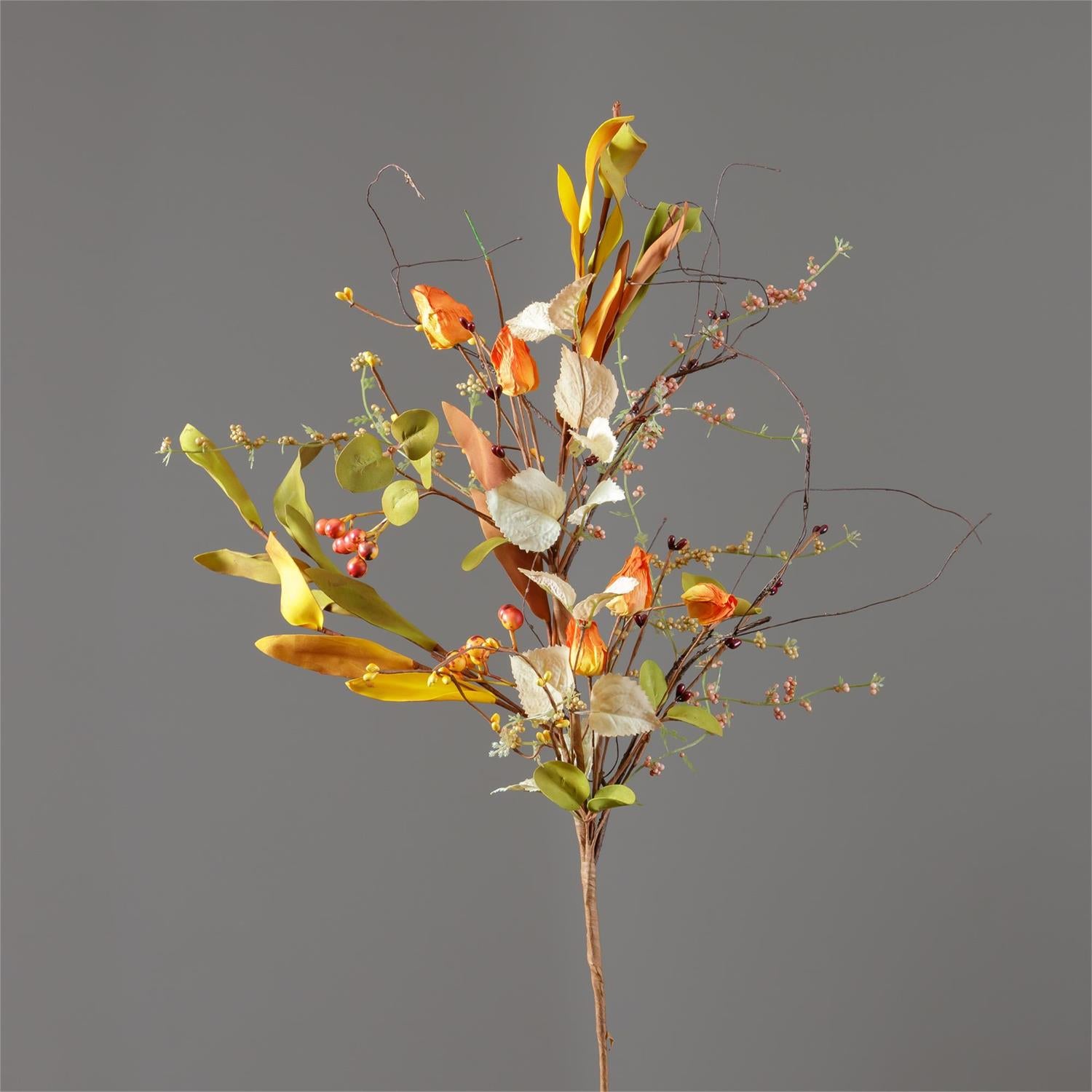 Branch - Pods, Berries, Asstd Fall Foliage (Pk 2)