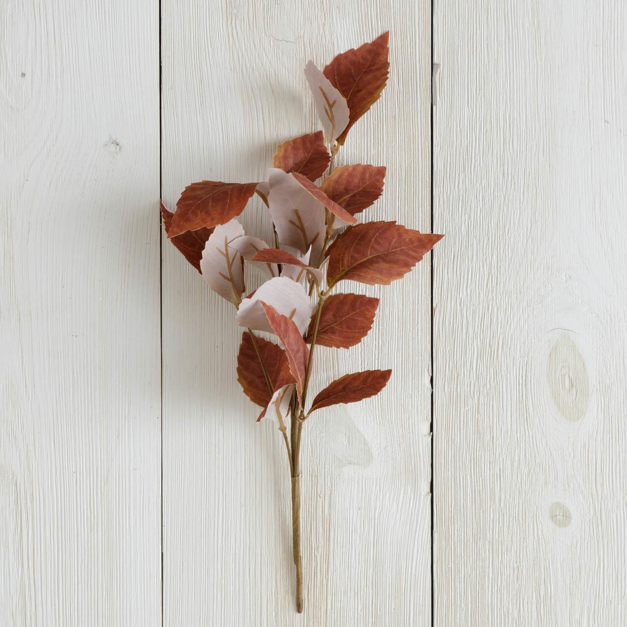 Pick - Fall Leaves, Brown