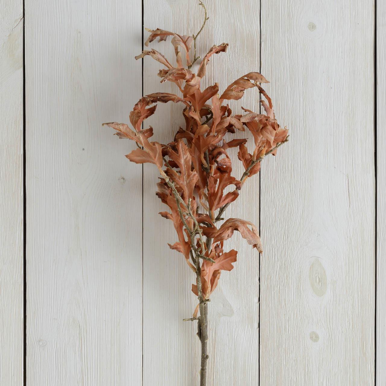 Branch - Dried Oak Leaves, Brown (Pk 2)