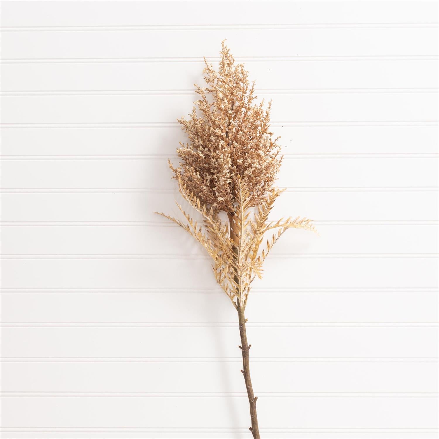 Stem - Dried Look Astilbe