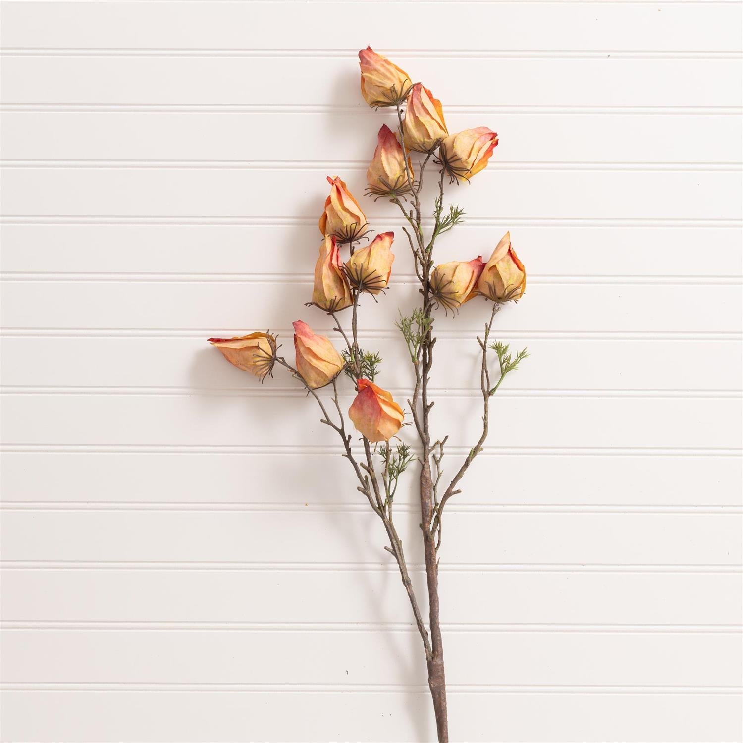 Spray - Withered Chinese Lantern Yellow Pink