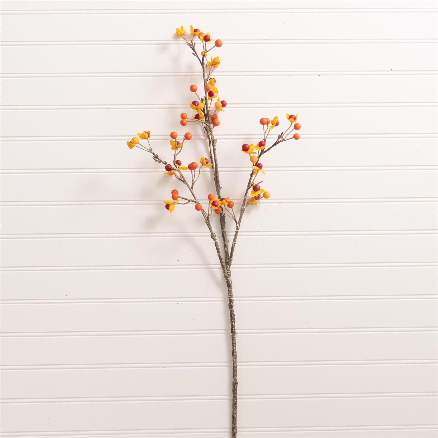 Branch - Bittersweet