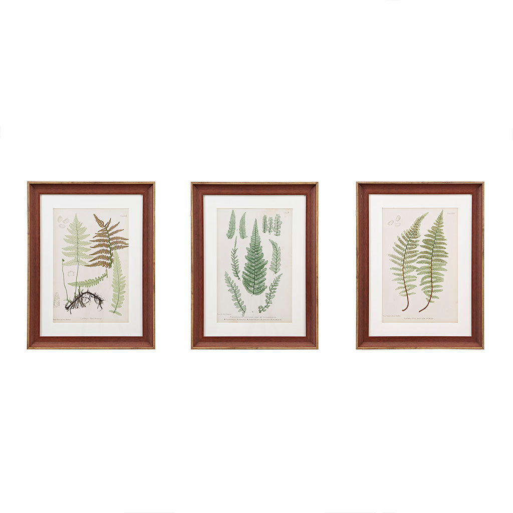 Lady Fern Collection Gold Metallic Leaf Panel Framed Graphic Wall Decor 3-Piece Set
