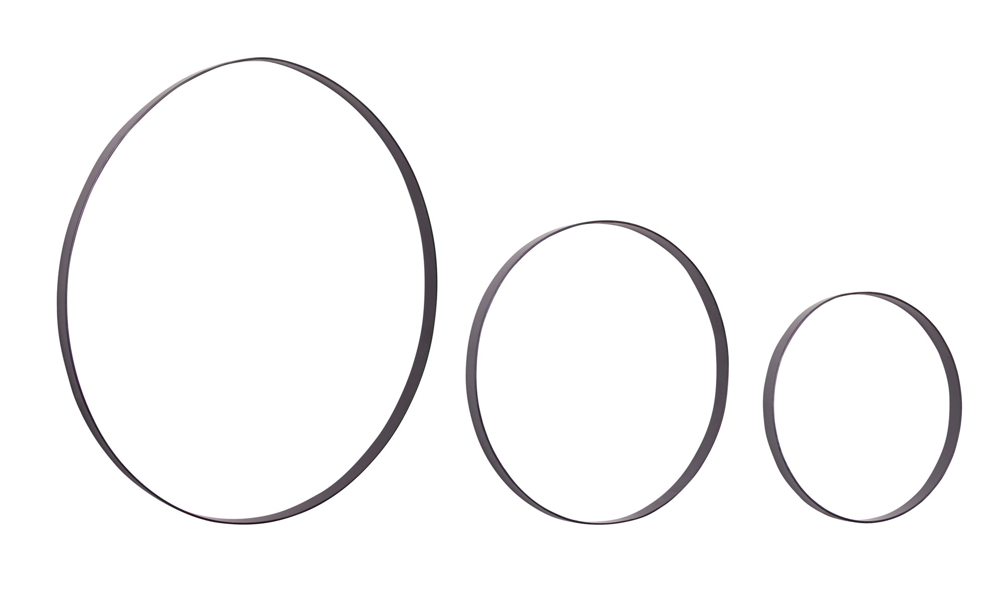 Iron Metal Rings Wall Display (Set of 3)