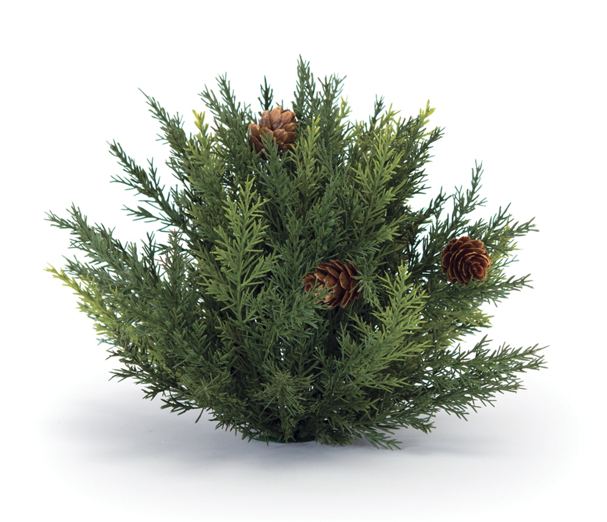 Winter Arborvitae Foliage Half Orb (Set of 2)