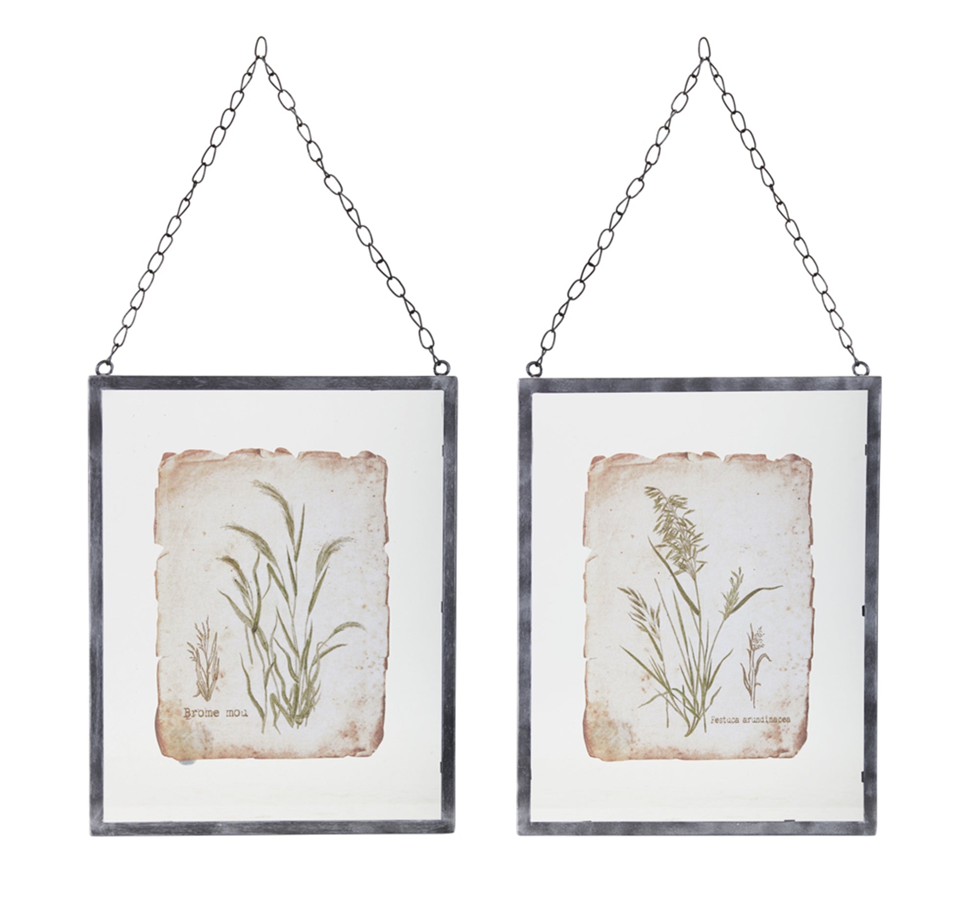 Metal Framed Grass Print Under Glass (Set of 2)