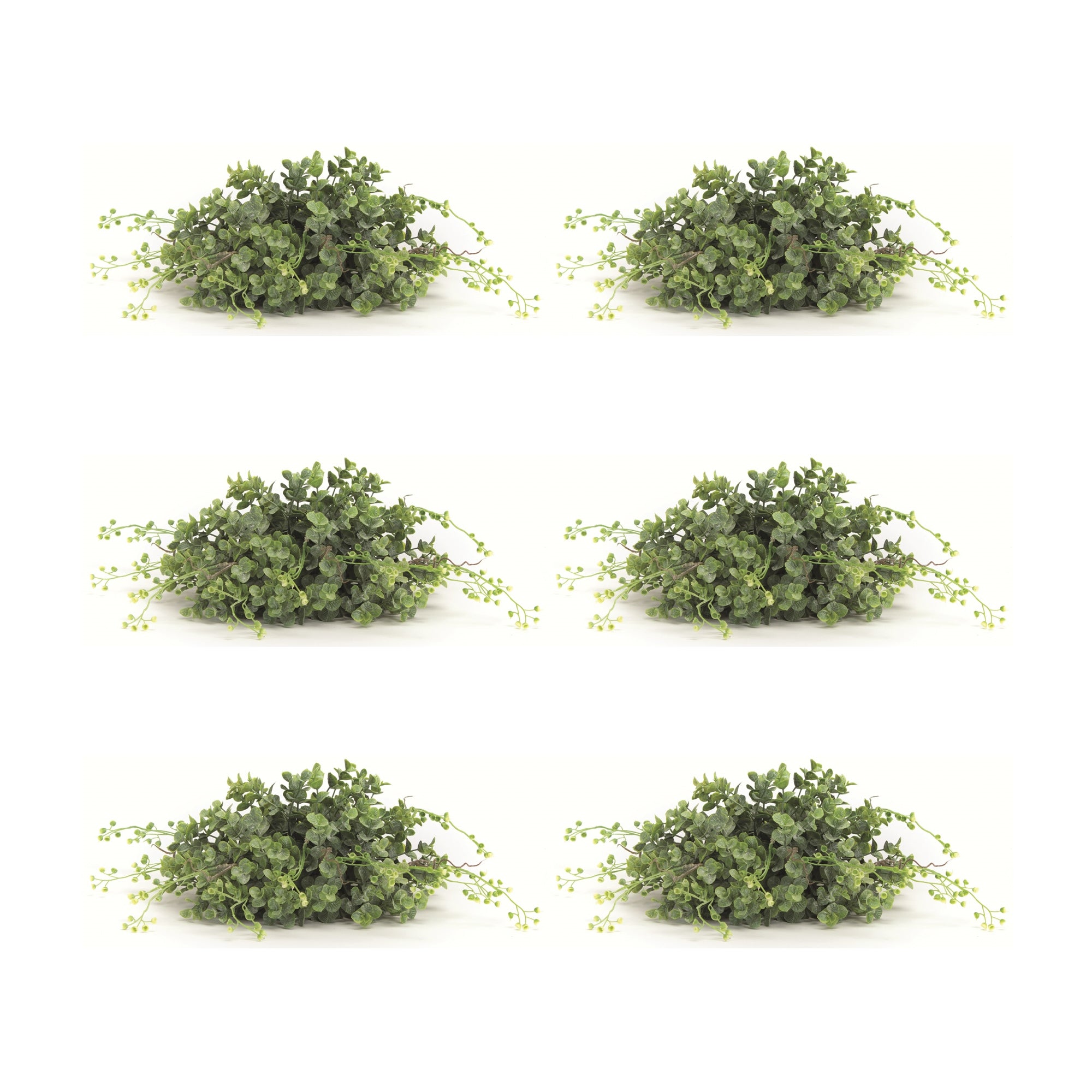 Spring Boxwood Foliage Half Orb (Set of 6)