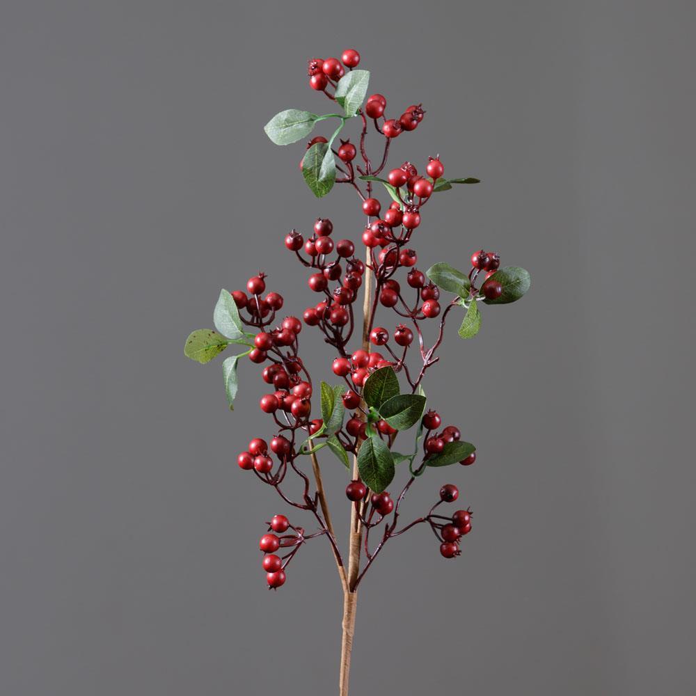 Cranberries Branch