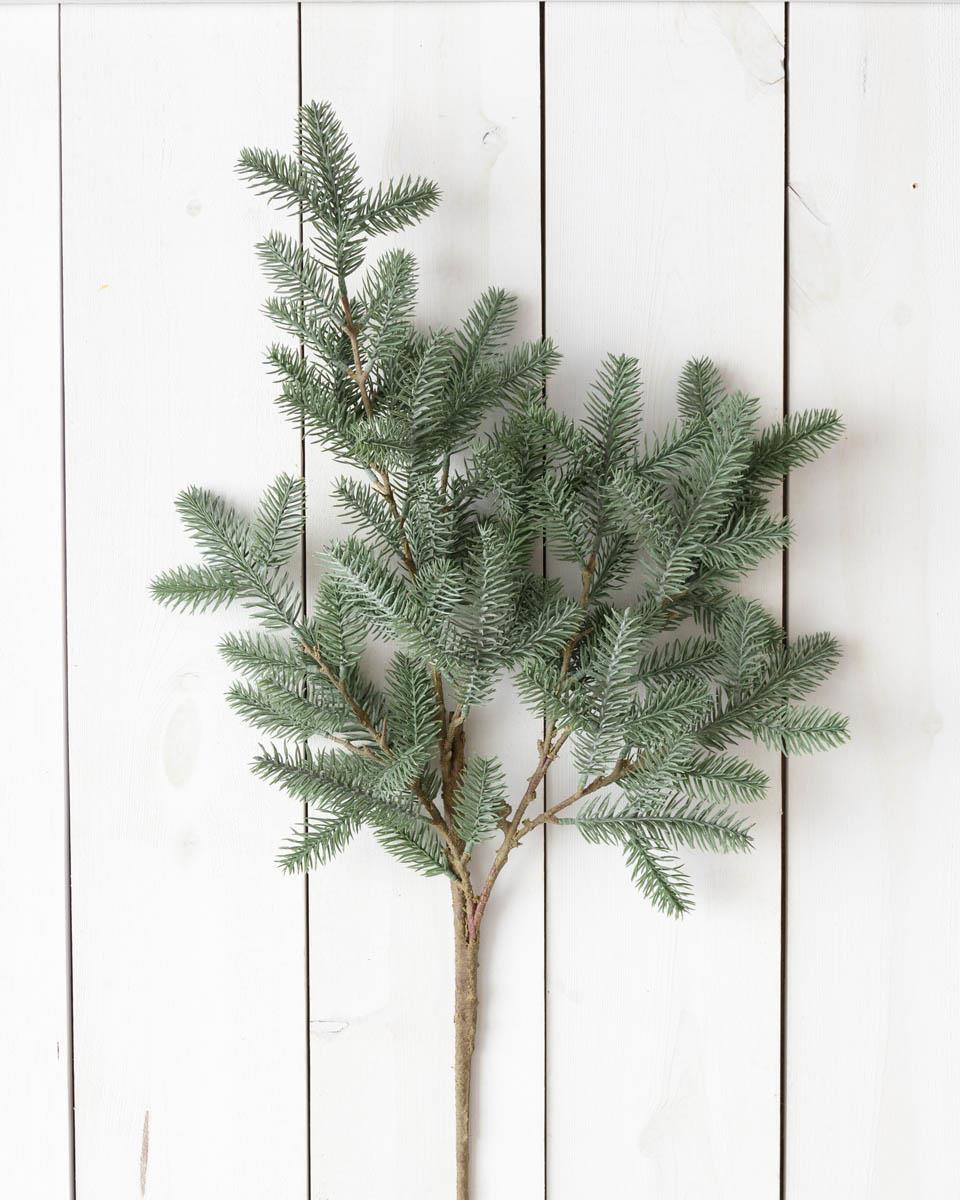 Blue Spruce Branch