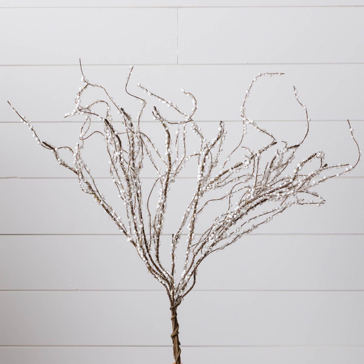 Ice Crystals and Snow Branch