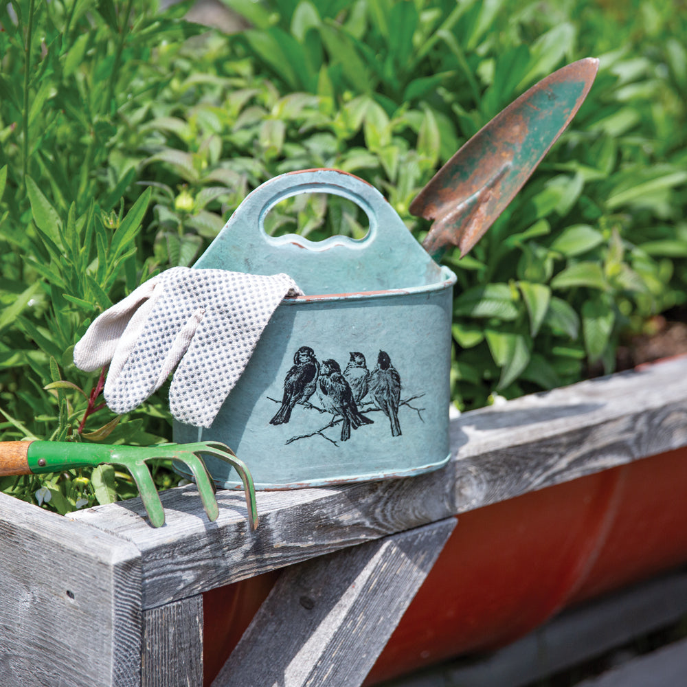 Songbirds Divided Caddy