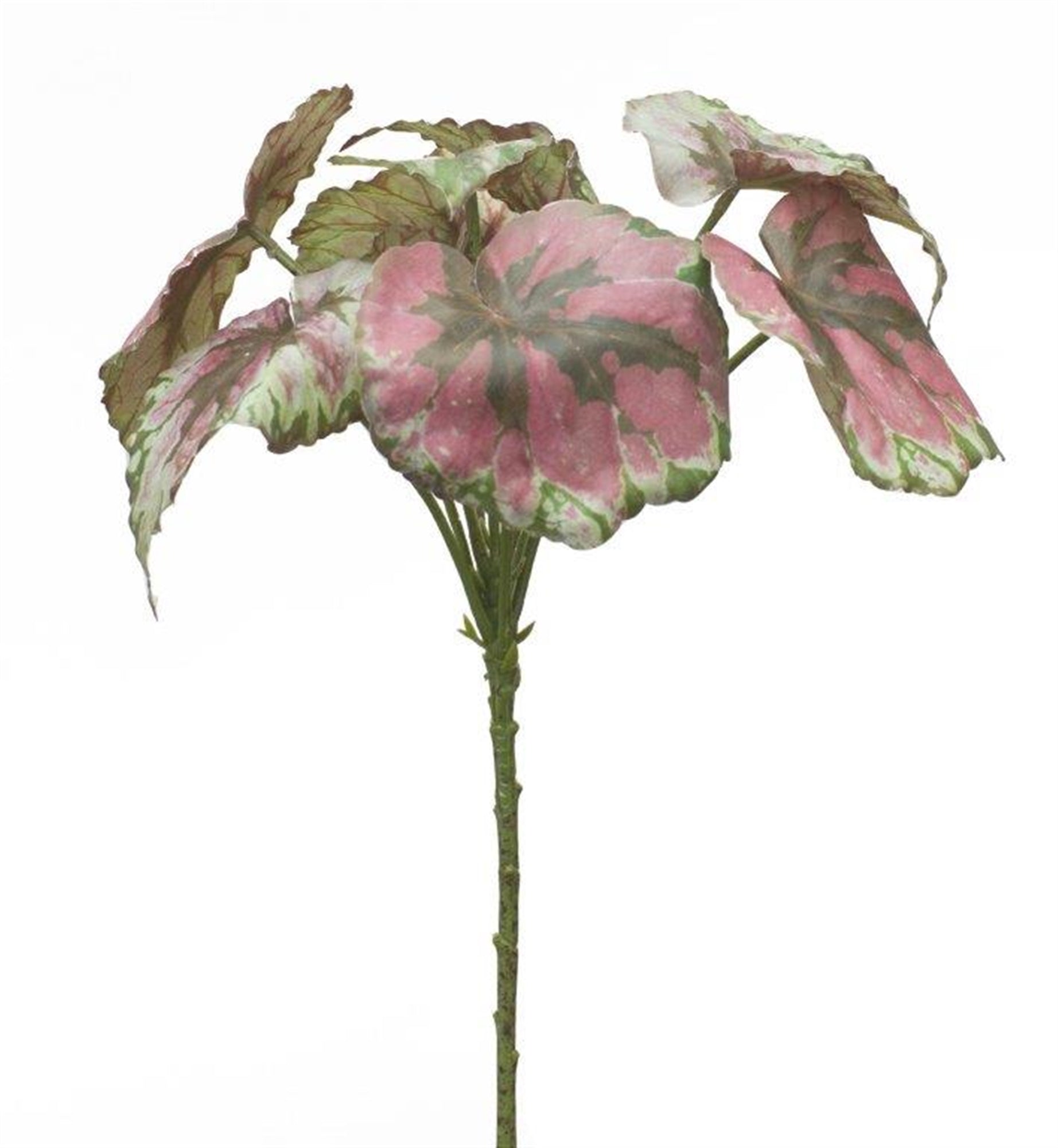 Begonia Leaf 11.5"H Polyester