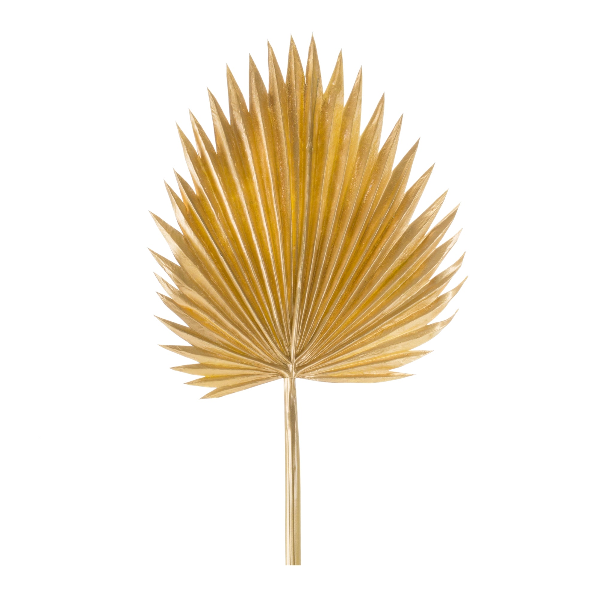 Fan Palm Leaf 37”H