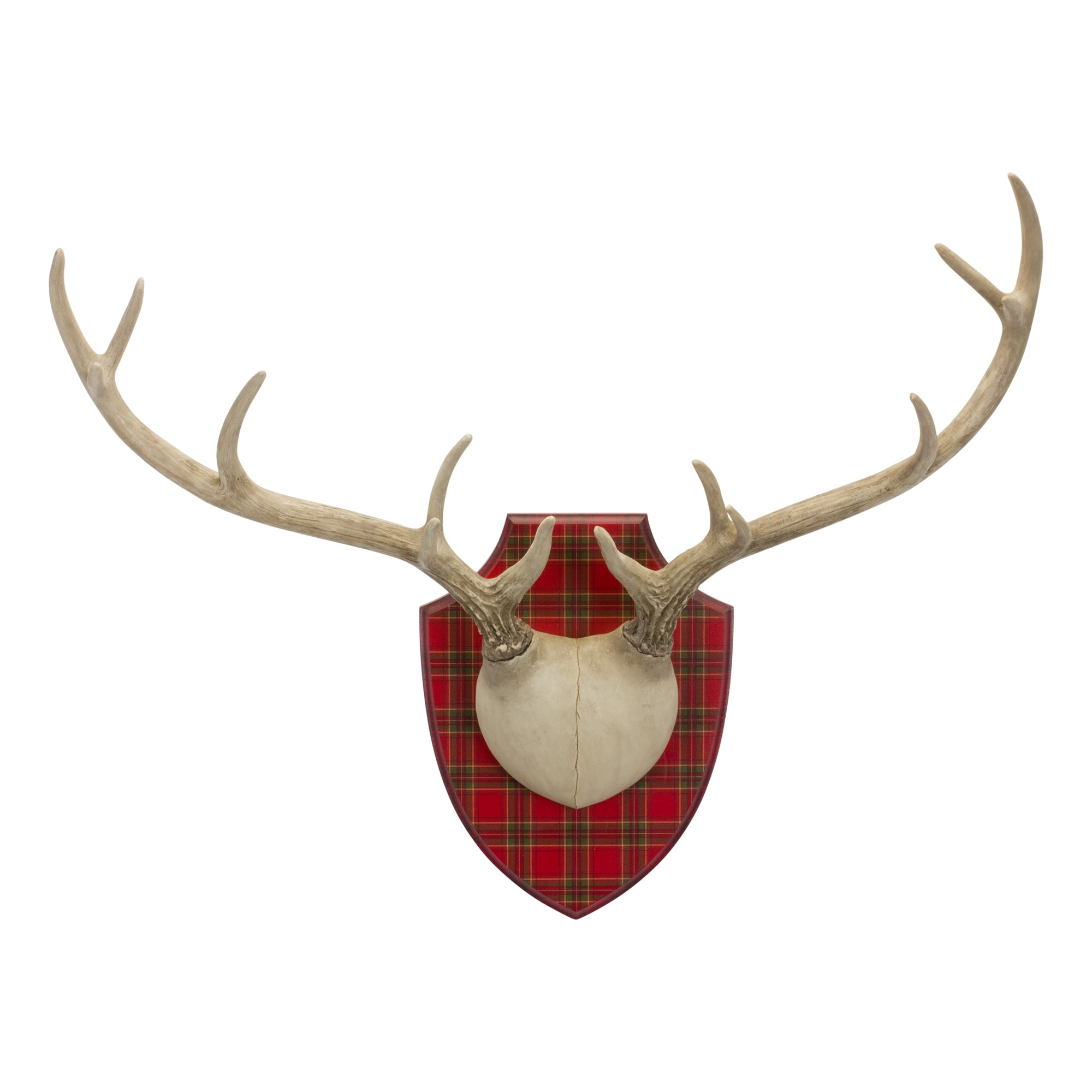 Antler Mount 27.5"L x 23"H Resin/MDF
