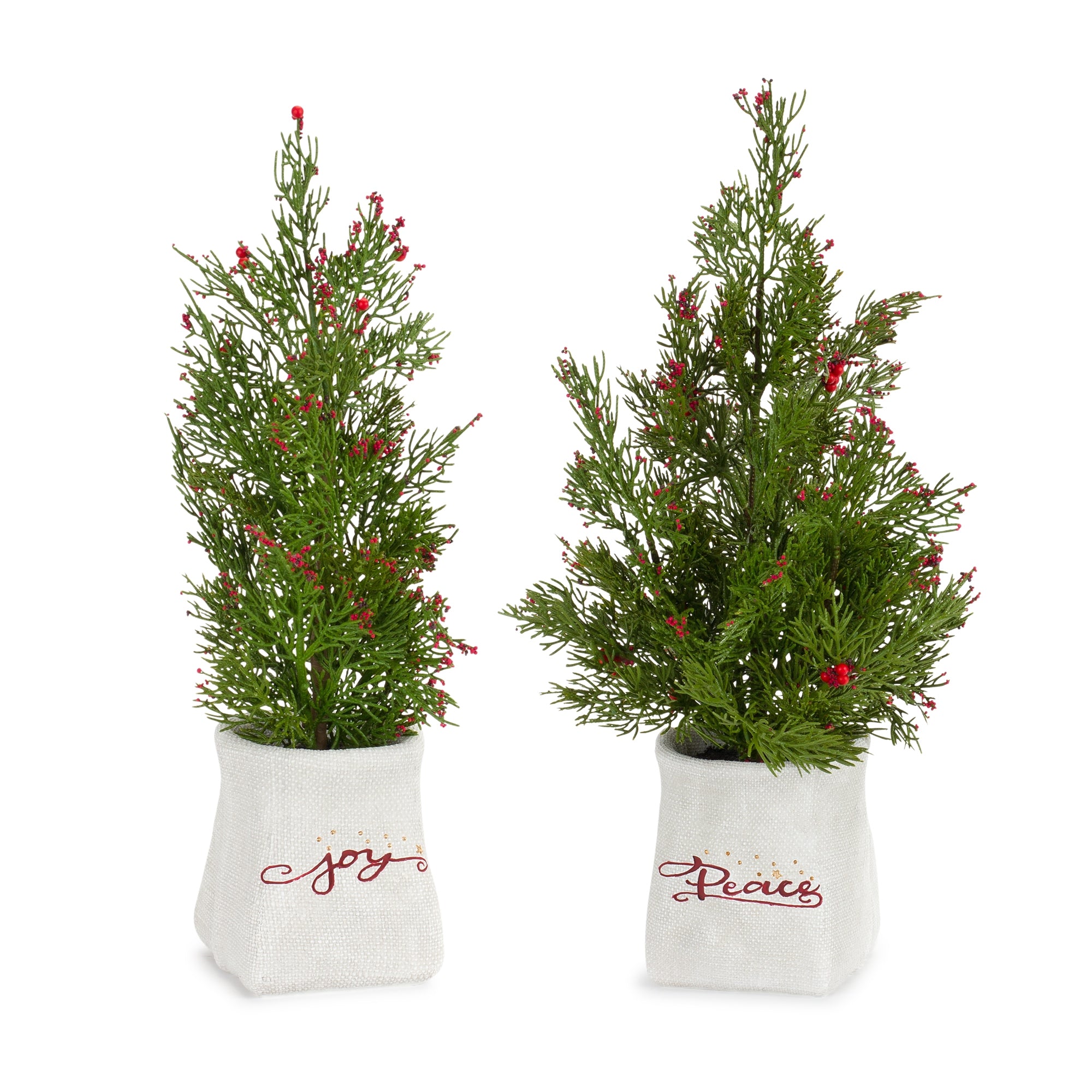Mini Pine Tree with Berries in Ceramic Pot (Set of 2)