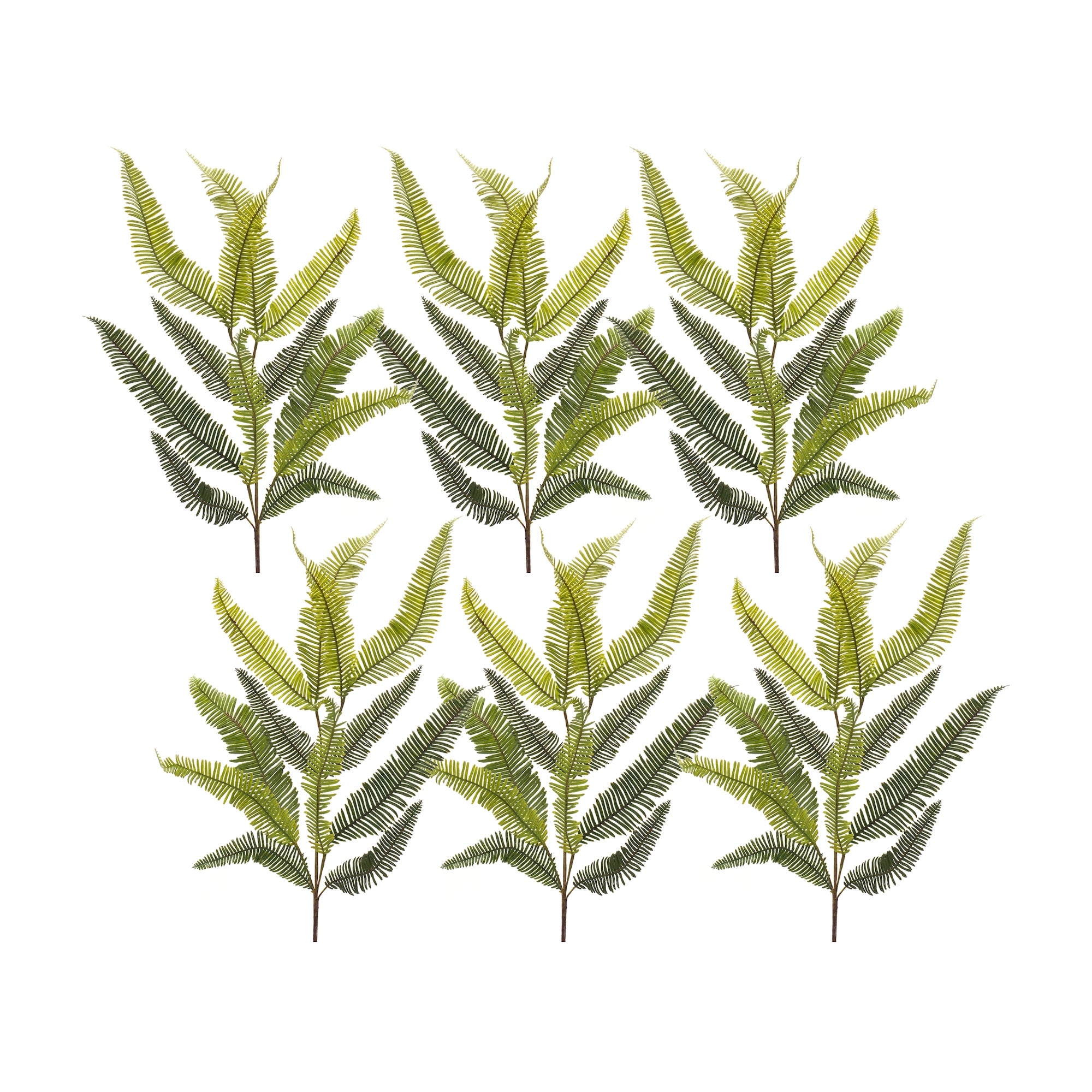 Varigated Fern Foliage Spray (Set of 6)