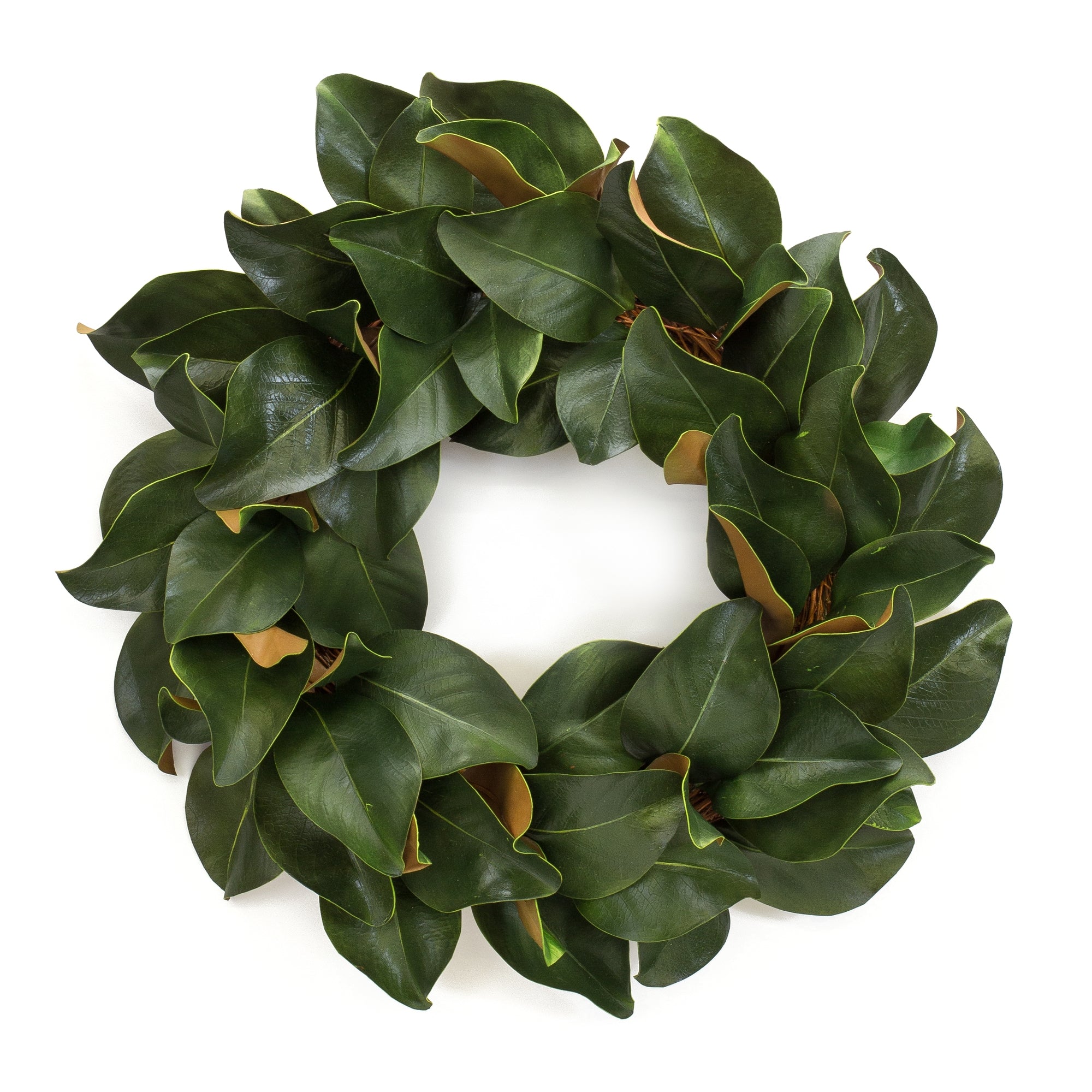 Magnolia Leaf Wreath 24"D