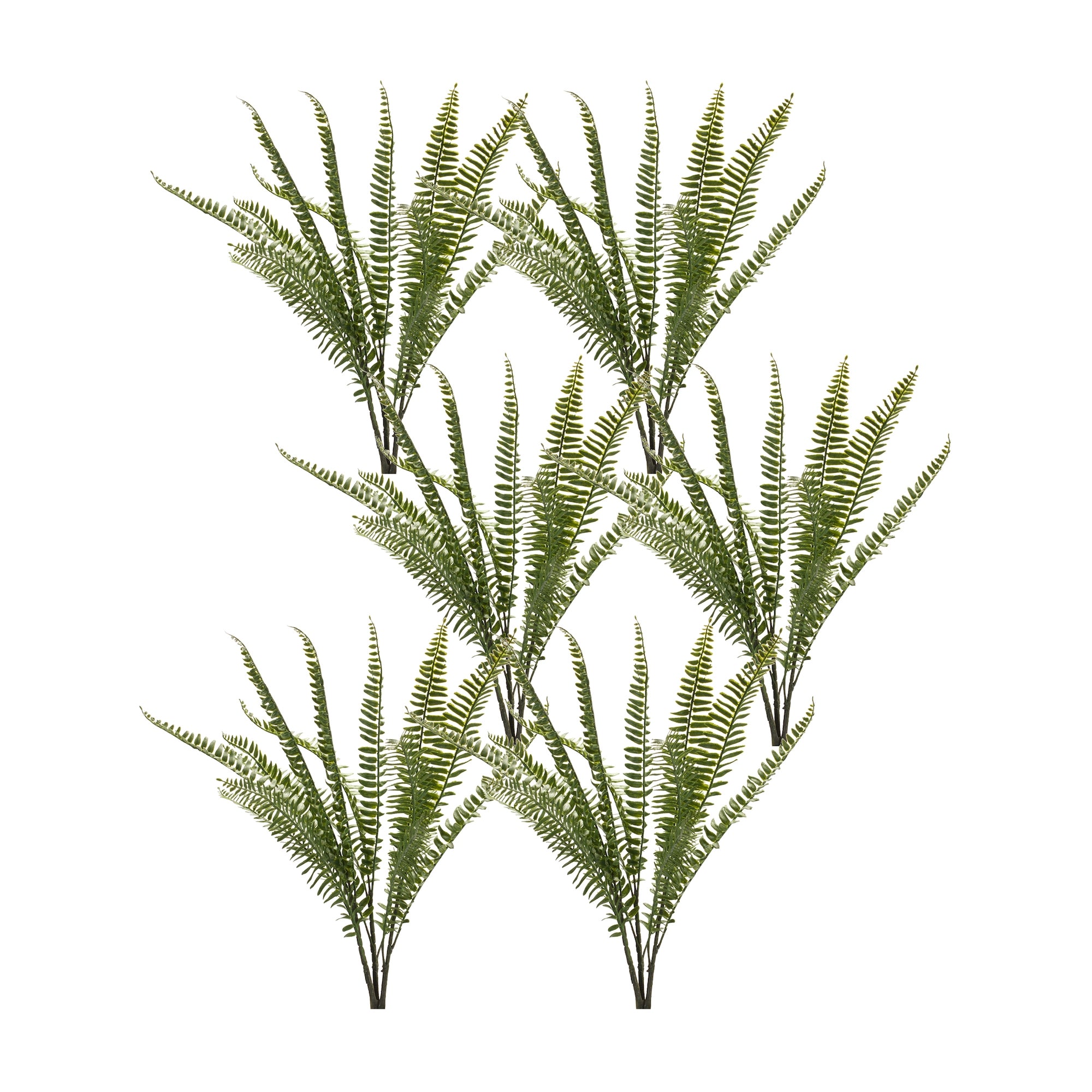 Fern Foliage Bush (Set of 6)
