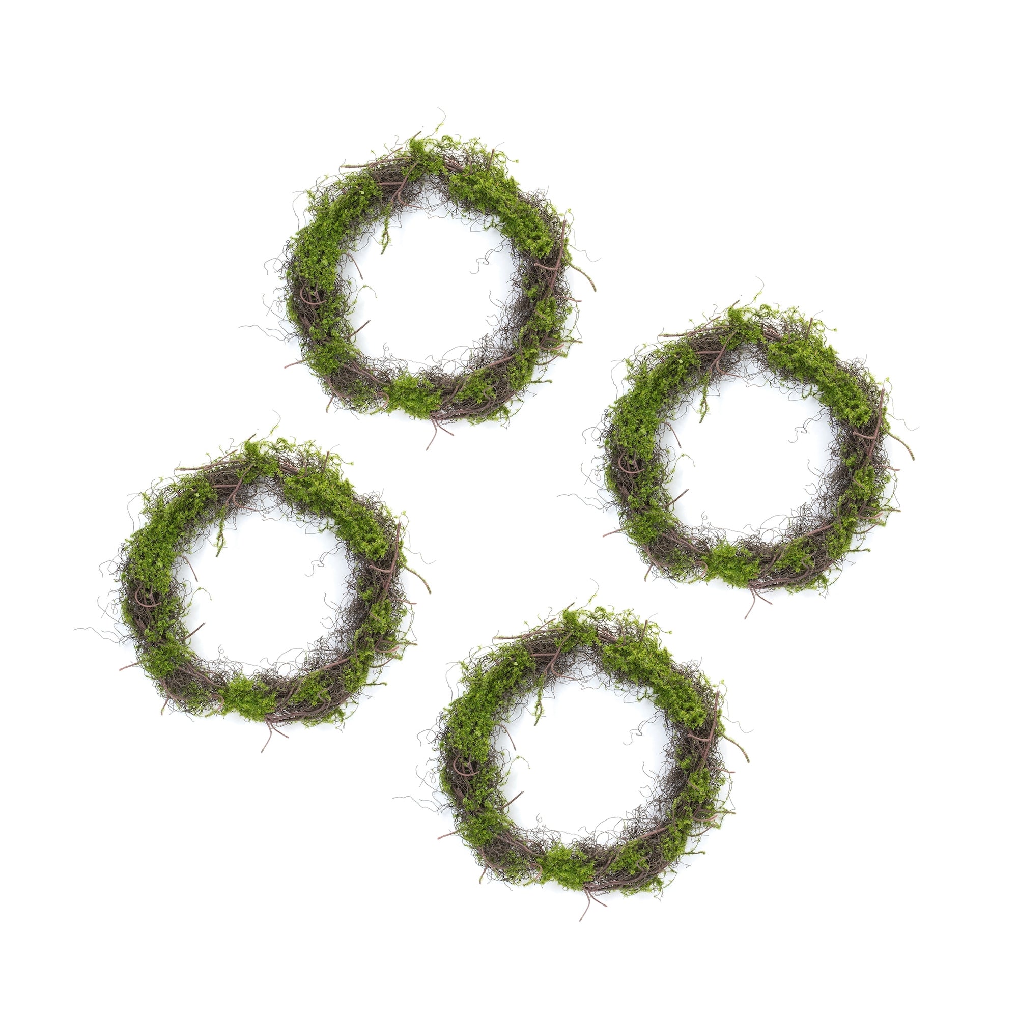 Moss Leaf Twig Wreath (Set of 4)