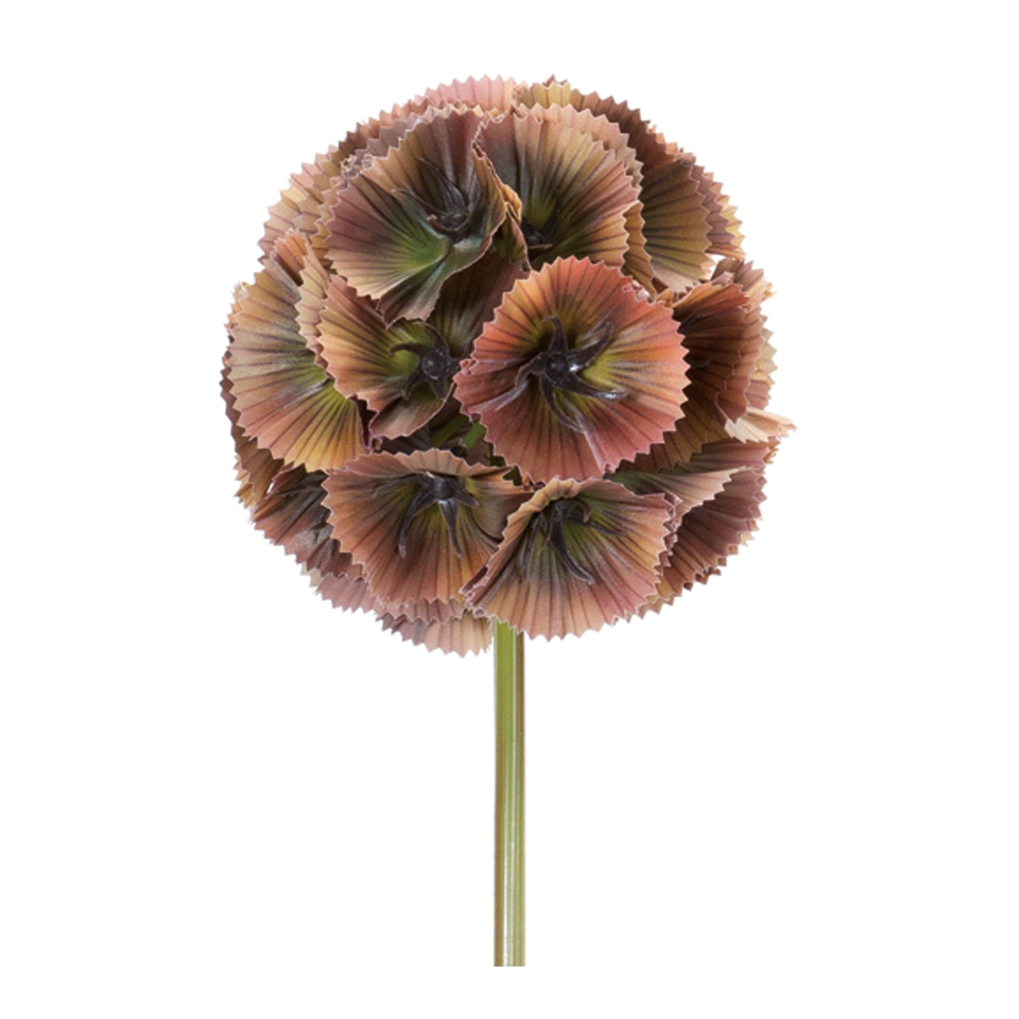 Floral Pod Stem (Set of 6)
