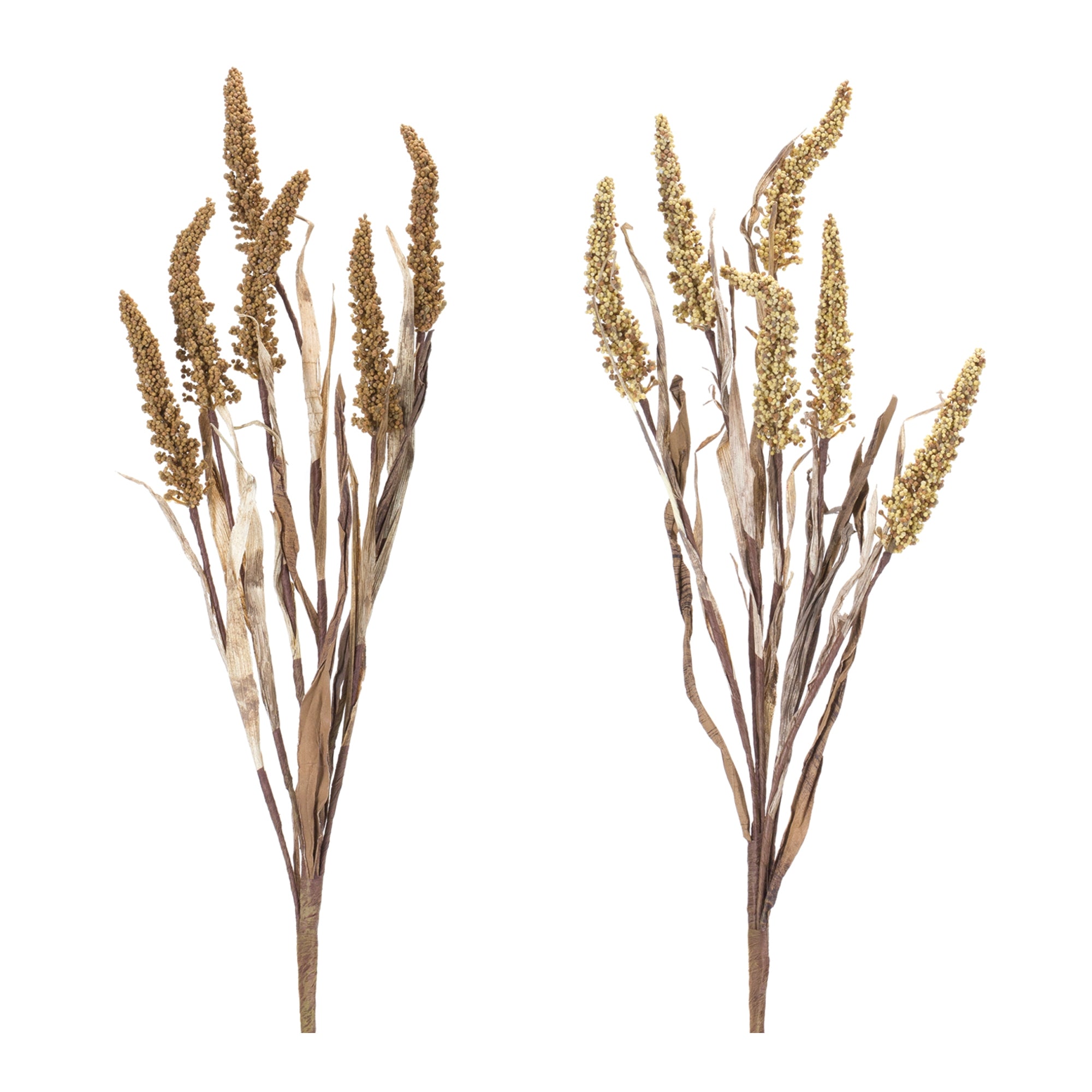 Amaranthus Bush (Set of 2)