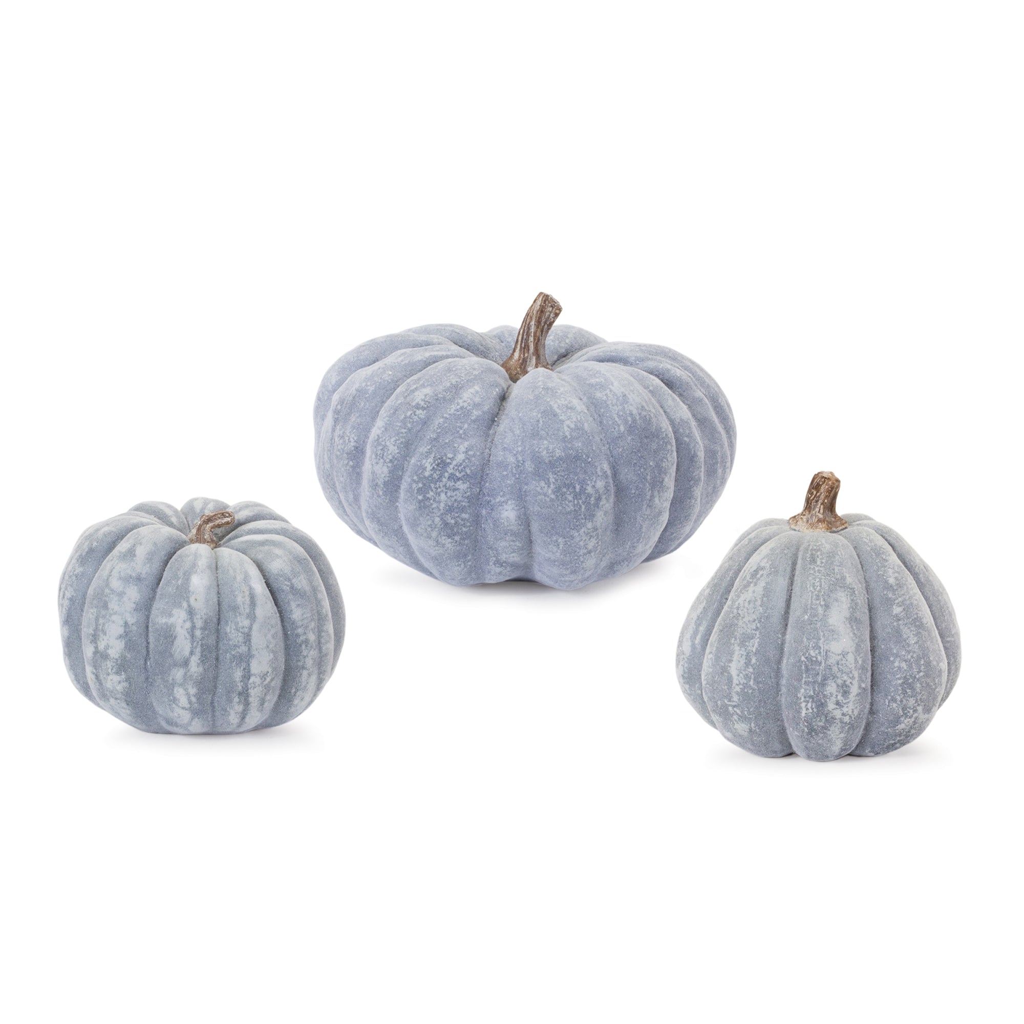 Distressed Pumpkin (Set of 3)