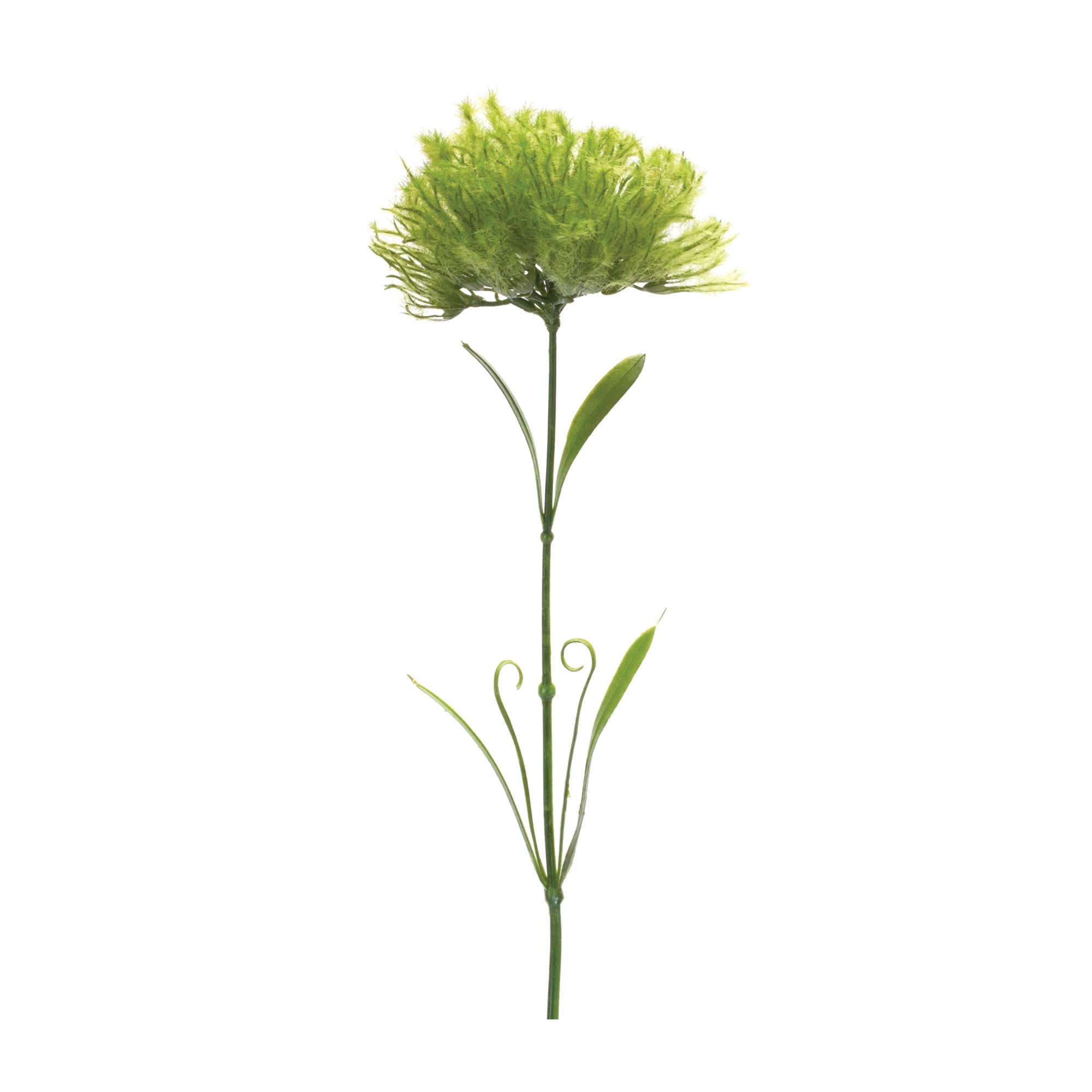 Puff Stem (Set of 6)