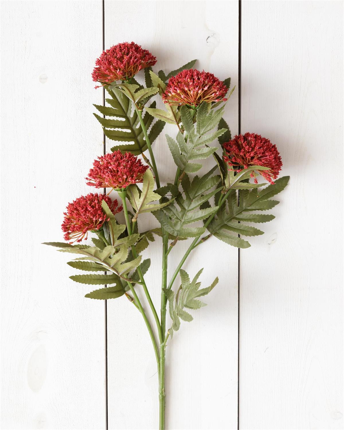 Branch - Burgundy Thistle