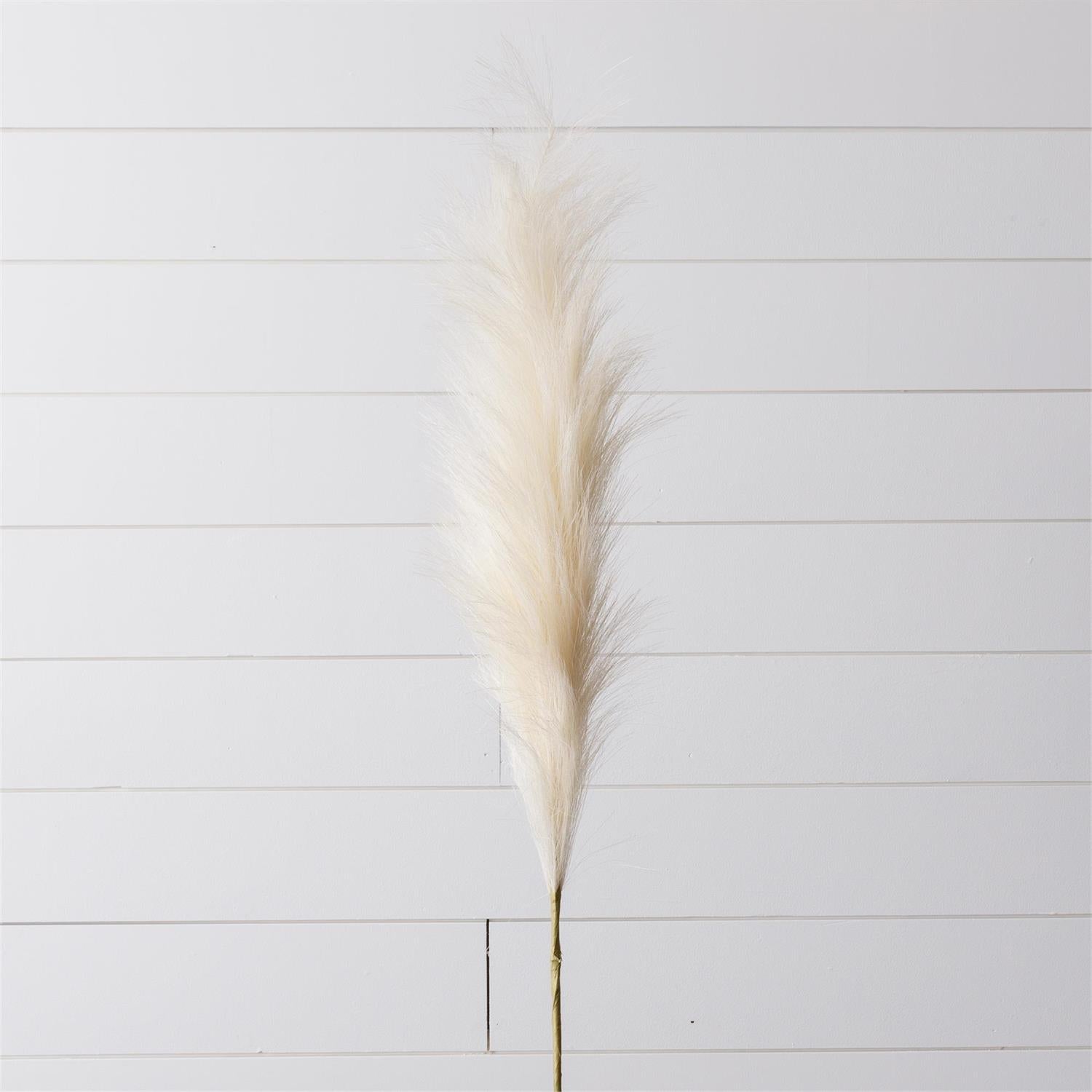 Cream Pampas Branch (Pk 2)