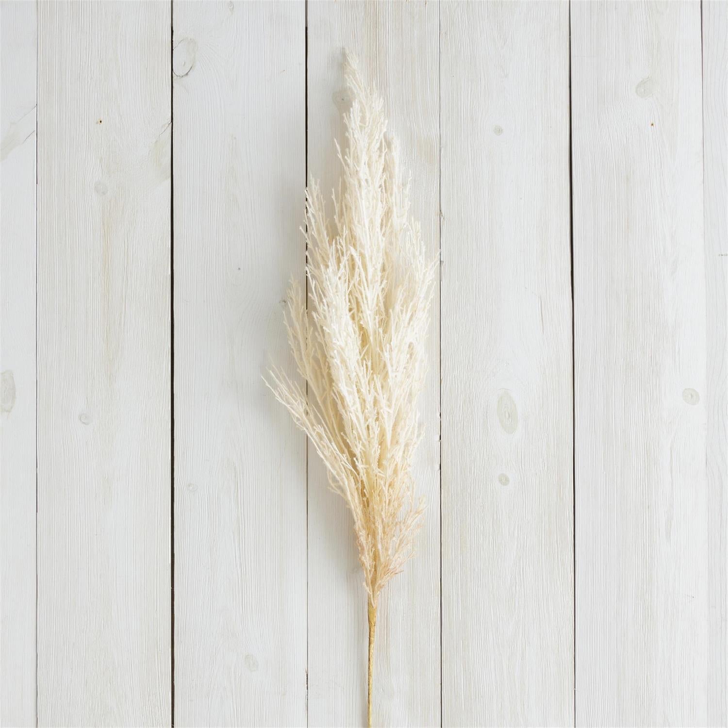 Branch - Cream Reed (Pk 2)