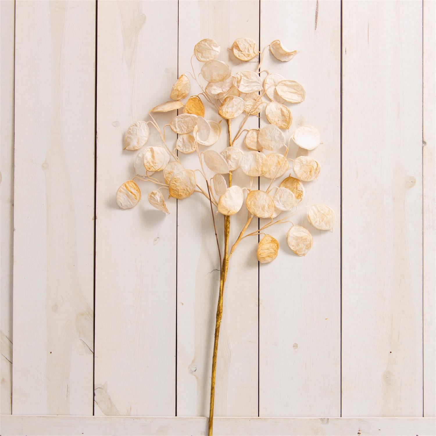 Spray - White Silver Dollar (Pk 2)