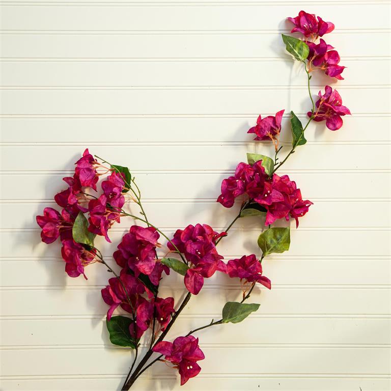 Pink Cascading Bougainvillea Stem