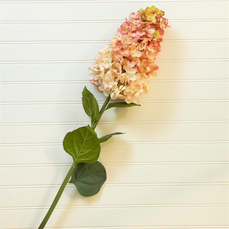 Pink Cone Hydrangea Stem