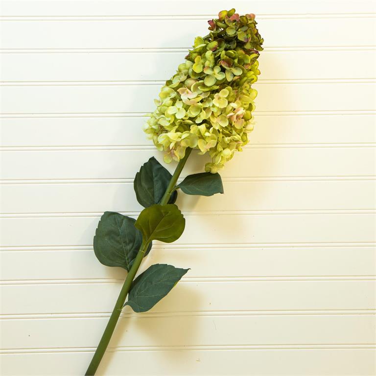 Green Cone Hydrangea Stem