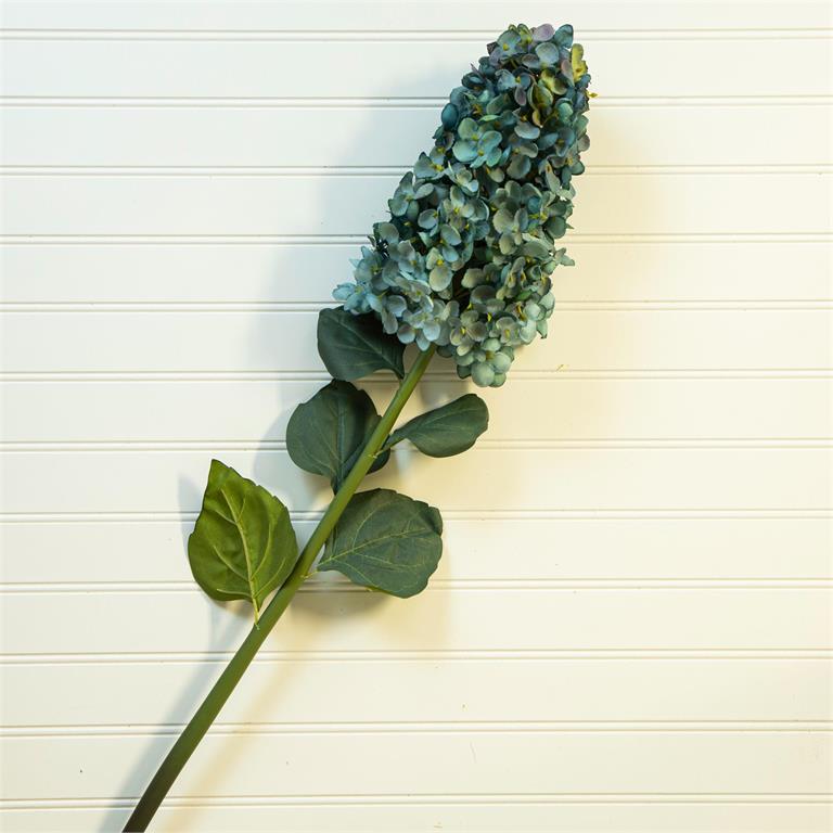 Blue Cone Hydrangea Stem