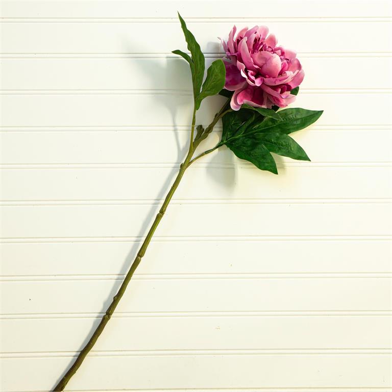 Fuchsia Peony Stem