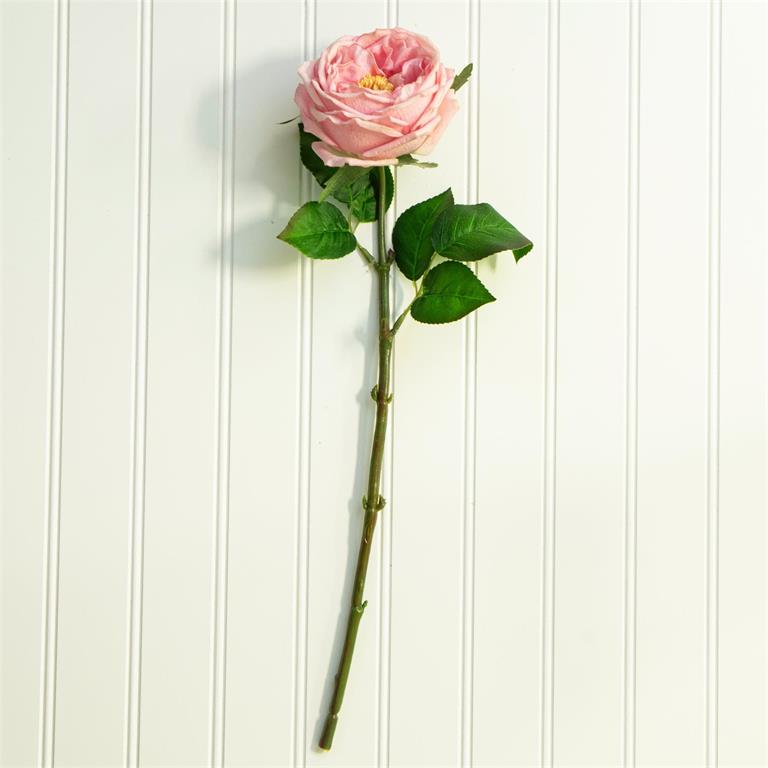 Real Feel Rose, Pink Stem